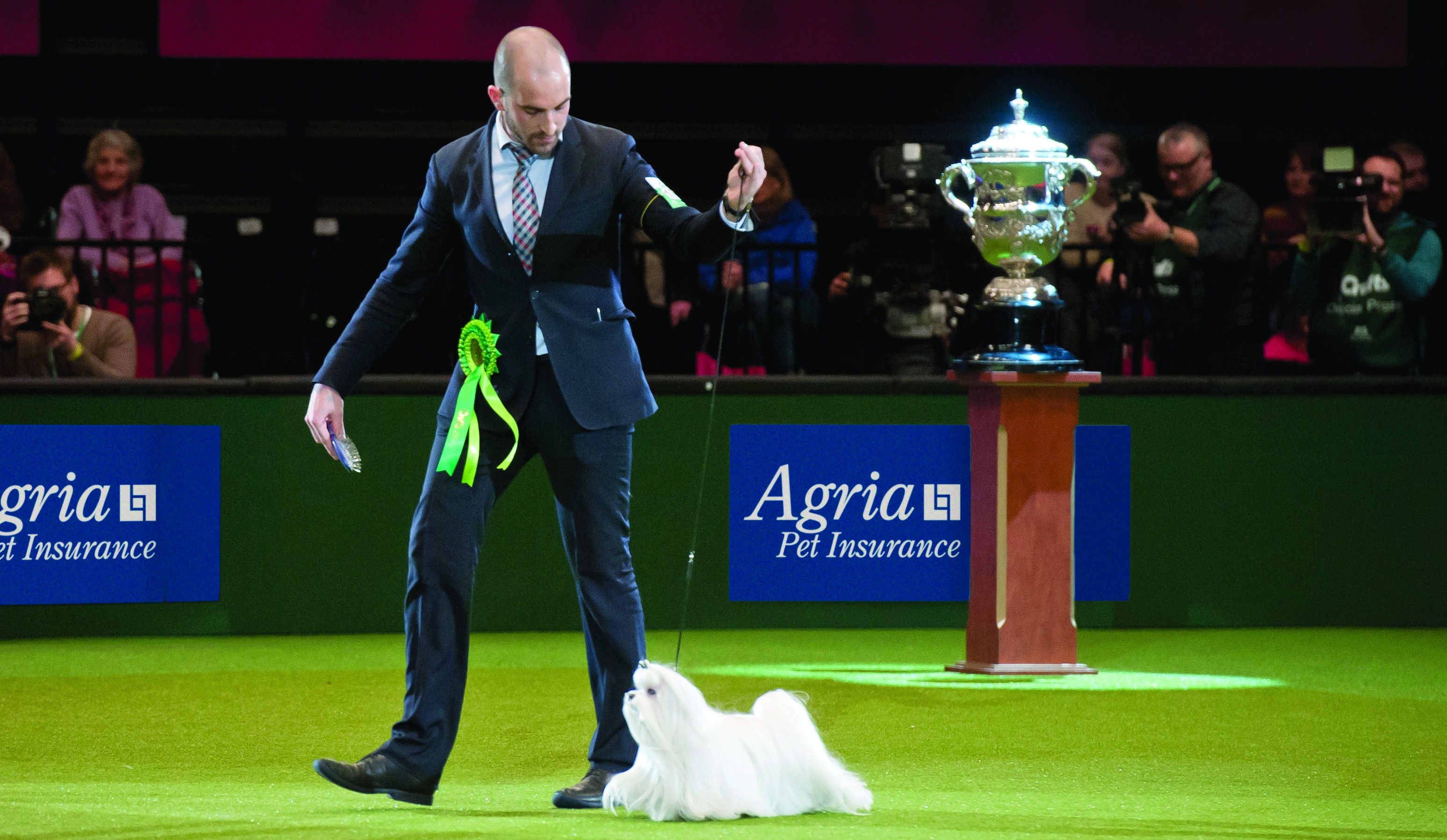 Agria encourages pet owners to put care before pampering at Crufts