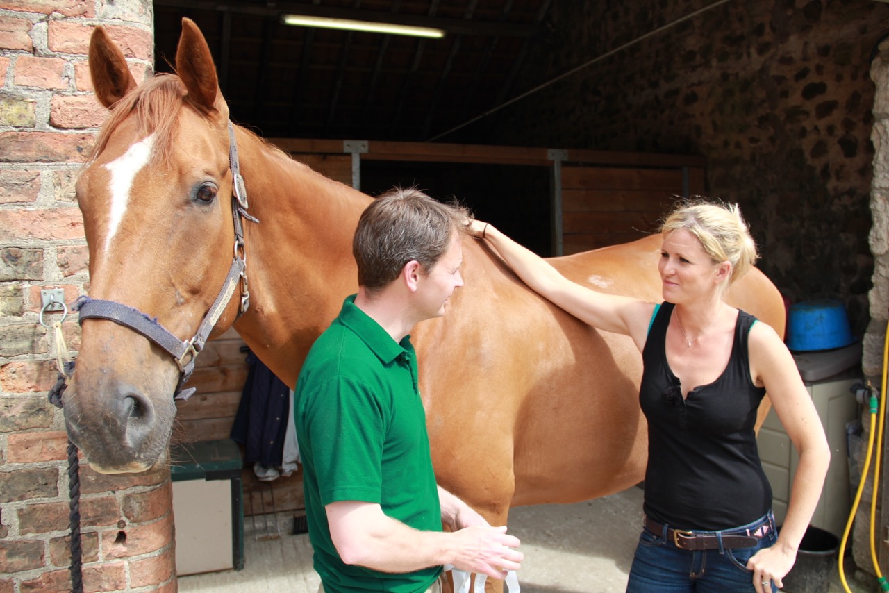 Help educate horse owners about worming with top TV programme