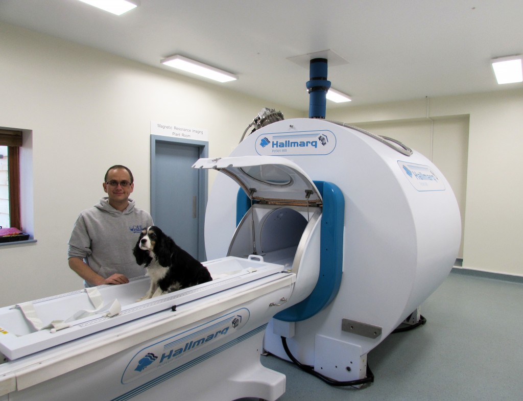 cave veterinary sepcialists