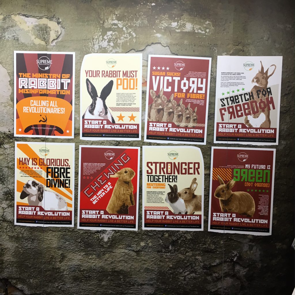 Rabbit Revolution