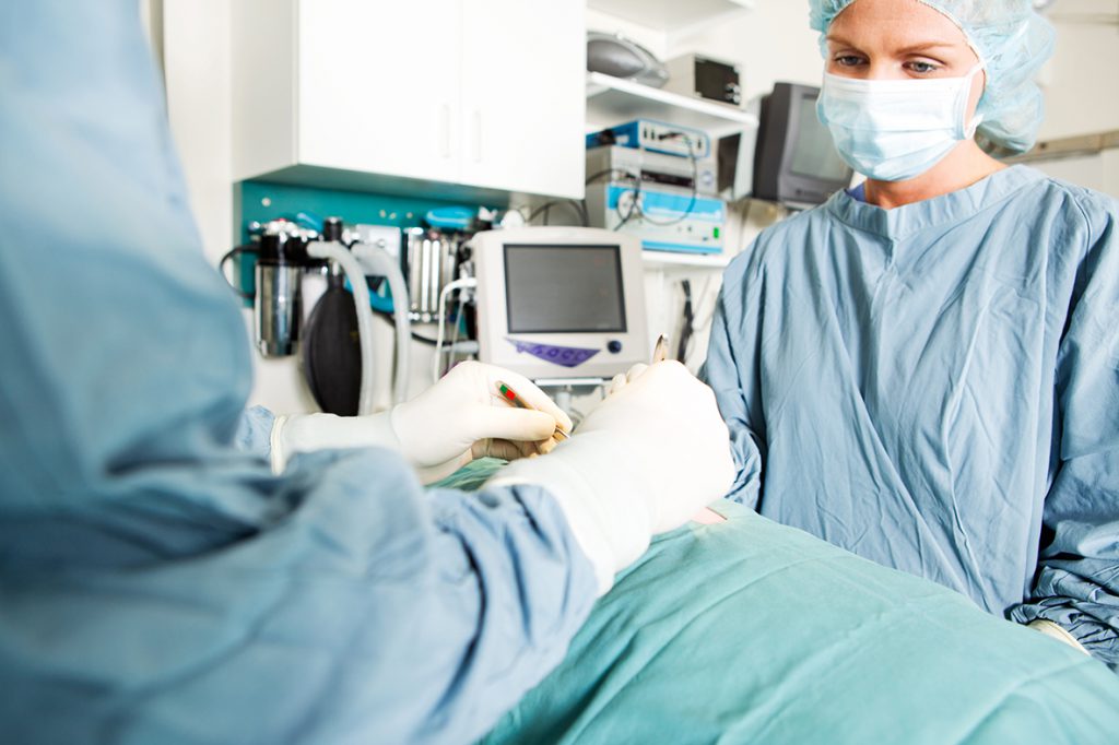 veterinary CPD