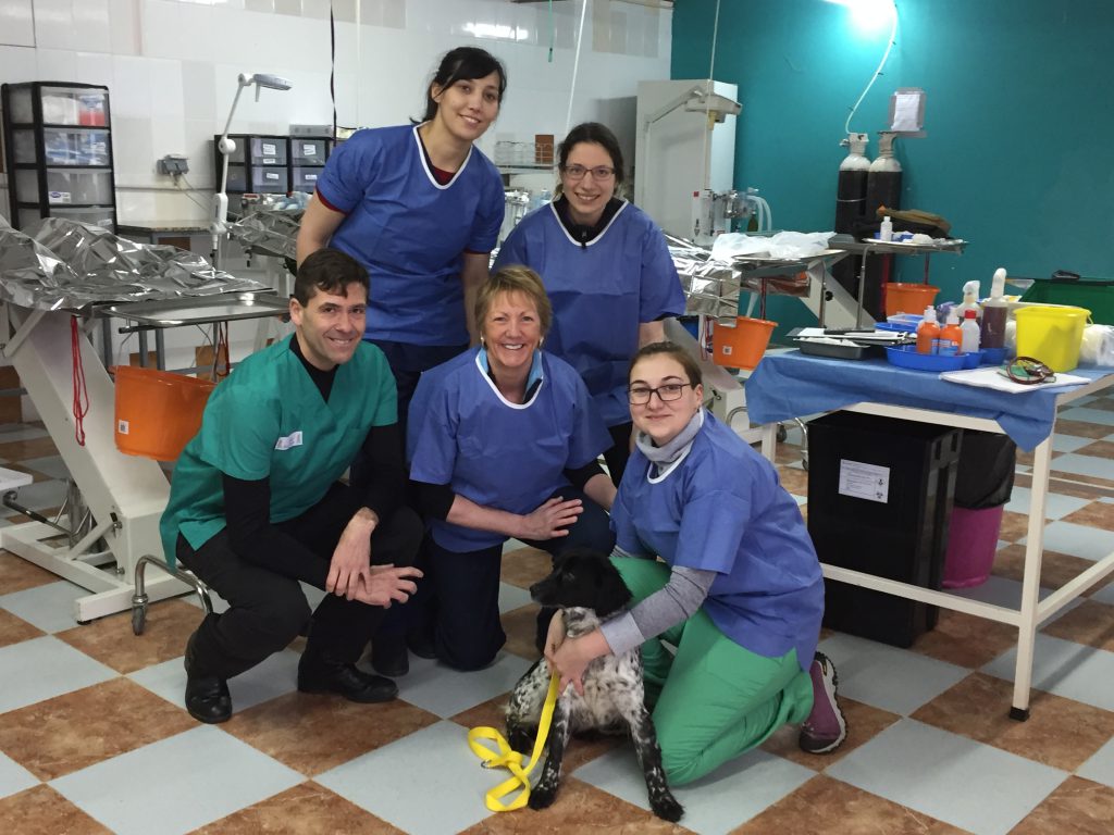 (left to right) top row: Clara Garcia , Mia Kalyvides; bottom row - Dr Luis Sainz-Pardo, Dr Judy Walker, Stefana Trufin