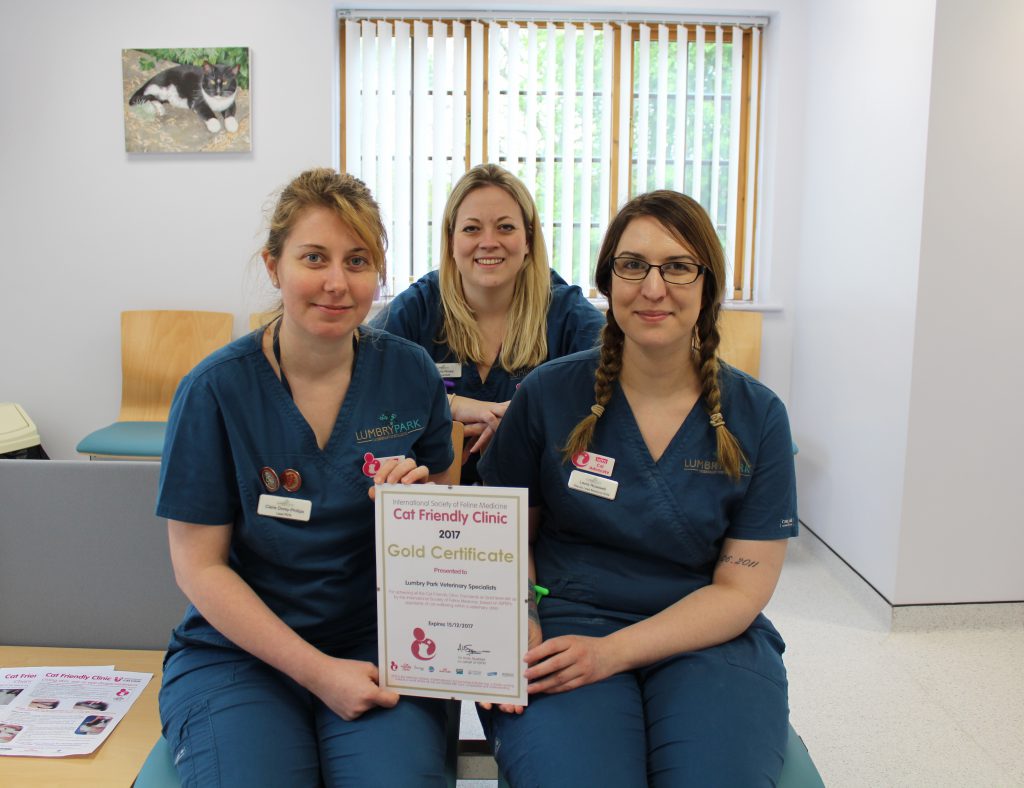 Lumbry Park veterinary nurses (left to right) Claire Dorey-Phillips, Gemma Winsor and Laura Rosewell.