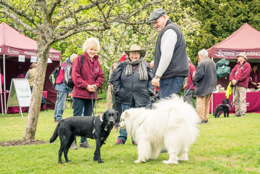 The Great British Dog Walk, an annual event held in aid of Hearing Dogs for Deaf People