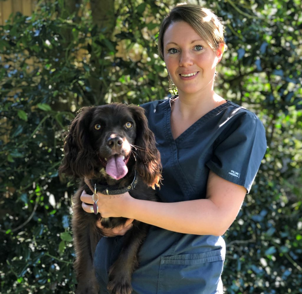 photo of Lyndsay Hughes vet nurse holding a Spaniel