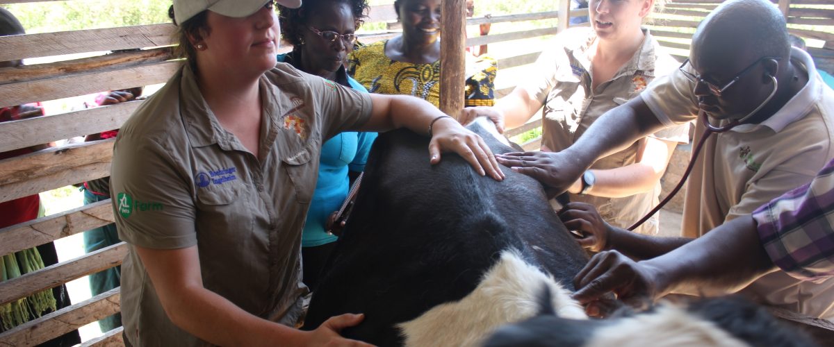 Image shows vets from XLVets on the Send a Cow initiative