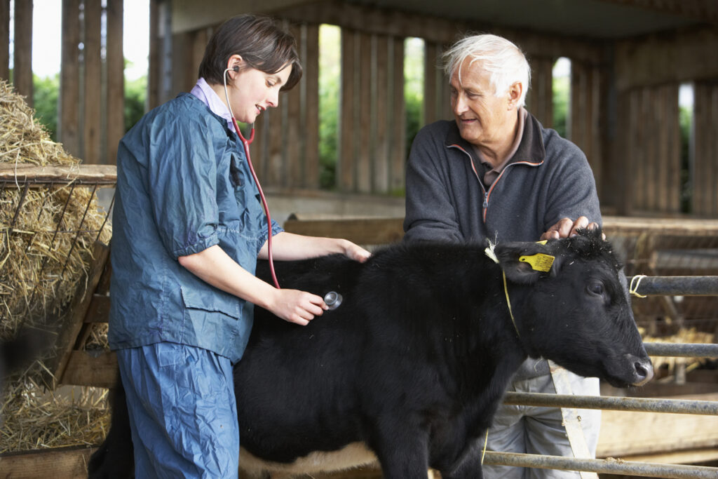 James Herriot changing face of profession.