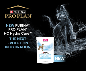 purina hydracare brian zanghi feline hydration and nutrition
