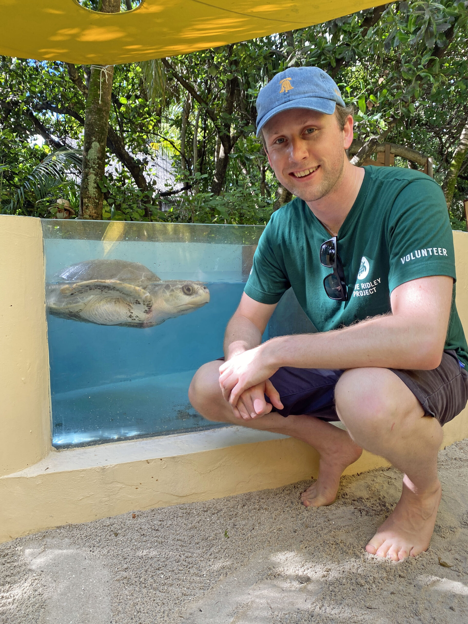Vet embarks on 5,500 mile Maldives trip to help preserve sea turtles