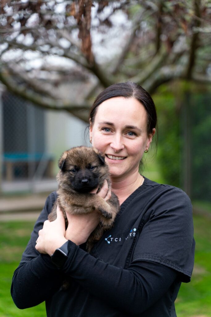 New Chair Announced for WSAVA Global Pain Council