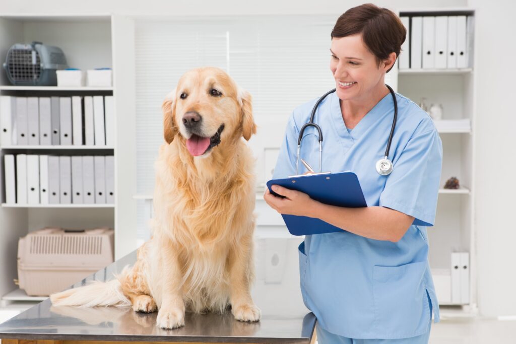 holistic palliative and hospice care organisation for pets