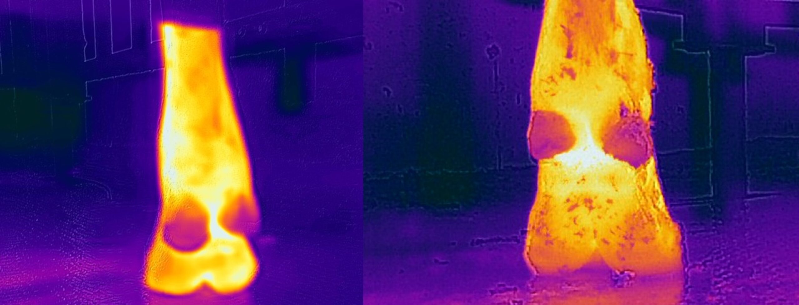 New Royal Veterinary College study finds low-cost thermal image devices could be as effective as expensive alternatives in detecting lameness in dairy cattle