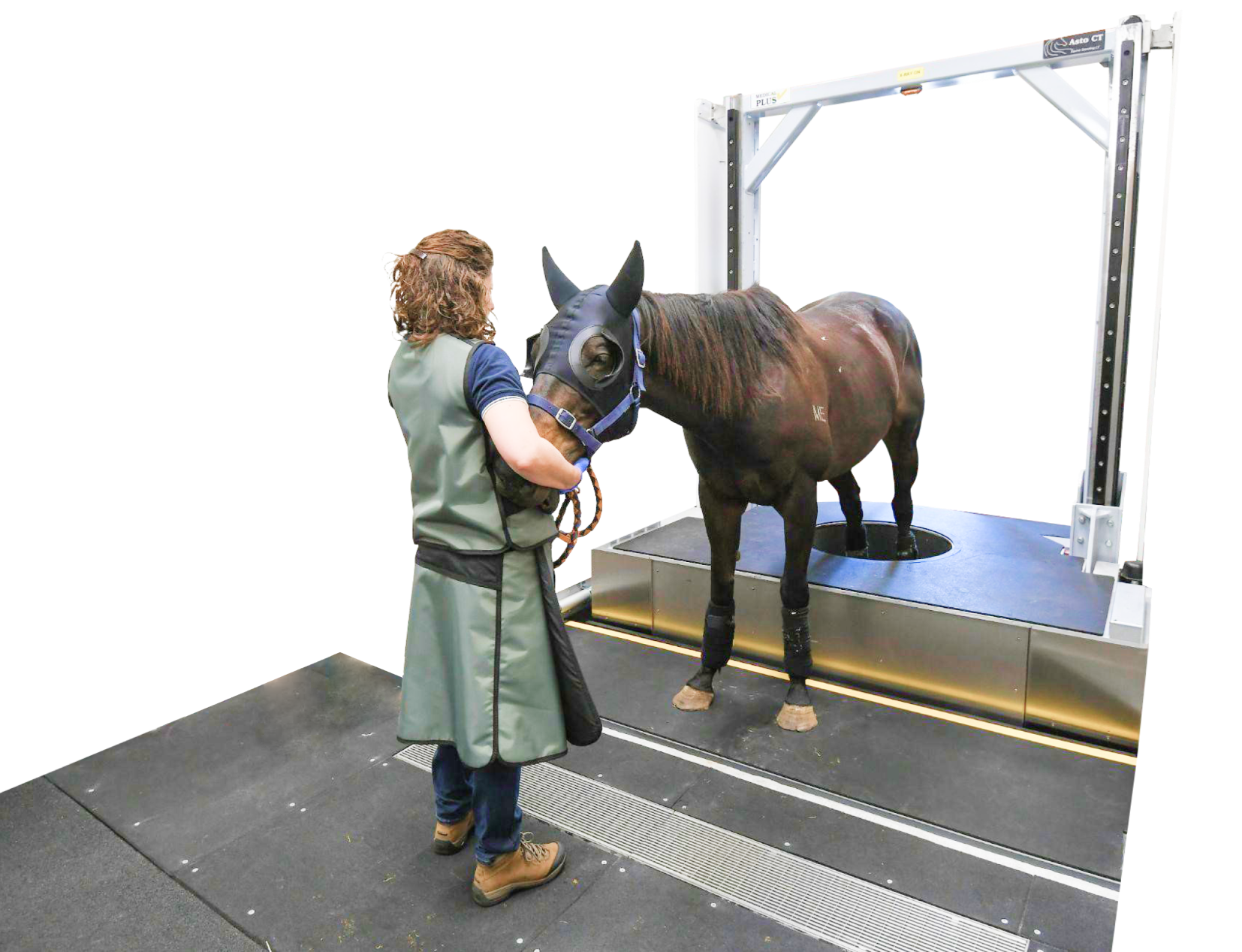 First standing CT scanner installed at Equine Sports Medicine & Surgery