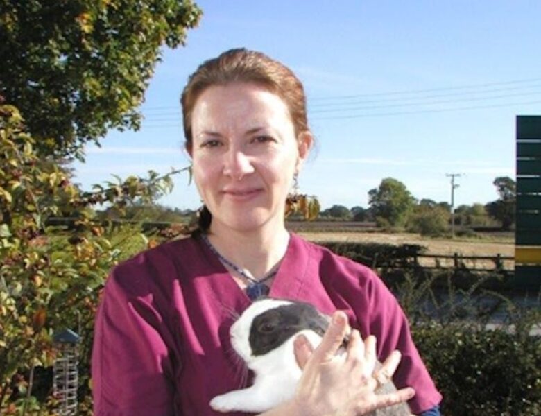 Veterinary experts share insights on guinea pig nutrition in free webinar
