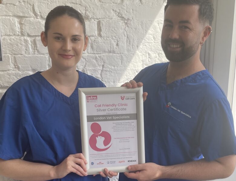 SILVER SERVICE FOR CATS AT LVS VETS