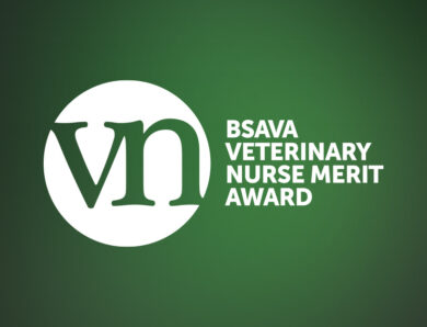 BSAVA announces new Vet Nurse Merit Award in Dentistry