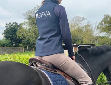 BEVA launches Back in the Saddle coaching for returning vets