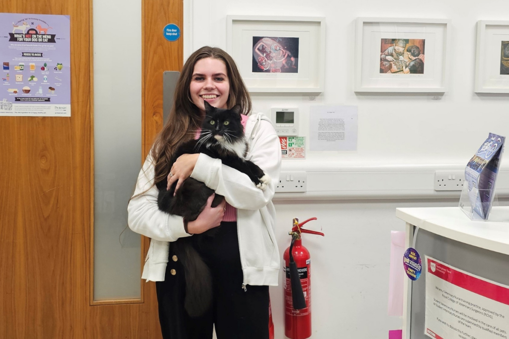 woman holding cat while in vet office