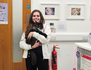 Entries open for 2026 Veterinary Receptionist Team Hero Awards