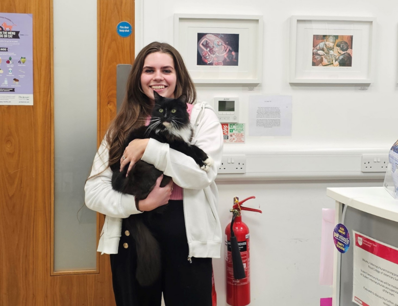 Entries open for 2026 Veterinary Receptionist Team Hero Awards