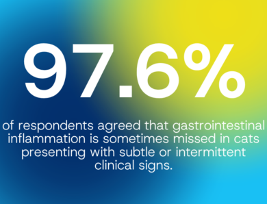 Survey highlights diagnostic challenges in feline gastrointestinal disease