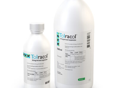 Tolracol® now licensed for coccidiosis prevention in beef calves