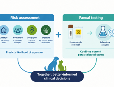 Parachex™ and IDEXX collaboration offers practices end-to-end, test-first parasite control 