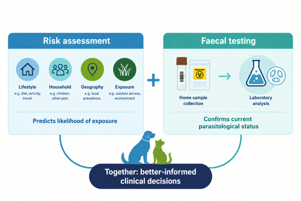 Parachex™ and IDEXX collaboration offers practices end-to-end, test-first parasite control 